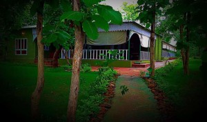 Ratapani Jungle Lodge, Sehore